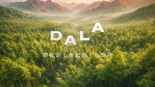 Latest company news about DALA 브랜드 업그레이드 발표